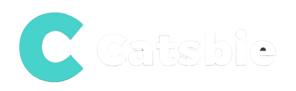 Catsbie | Company Establishment | China Business Solutions